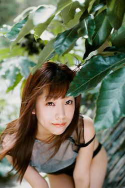 疾速追杀2