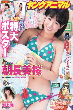樱花JSQ30Q211