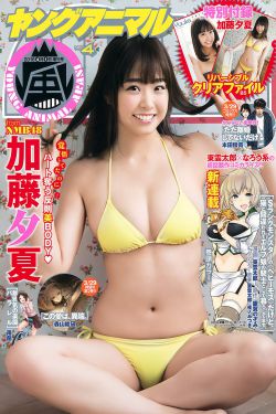 北野武狂想曲